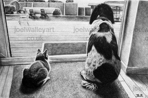 Best Furry Friends. A cat and dog sitting together looking through the patio window into the garden
