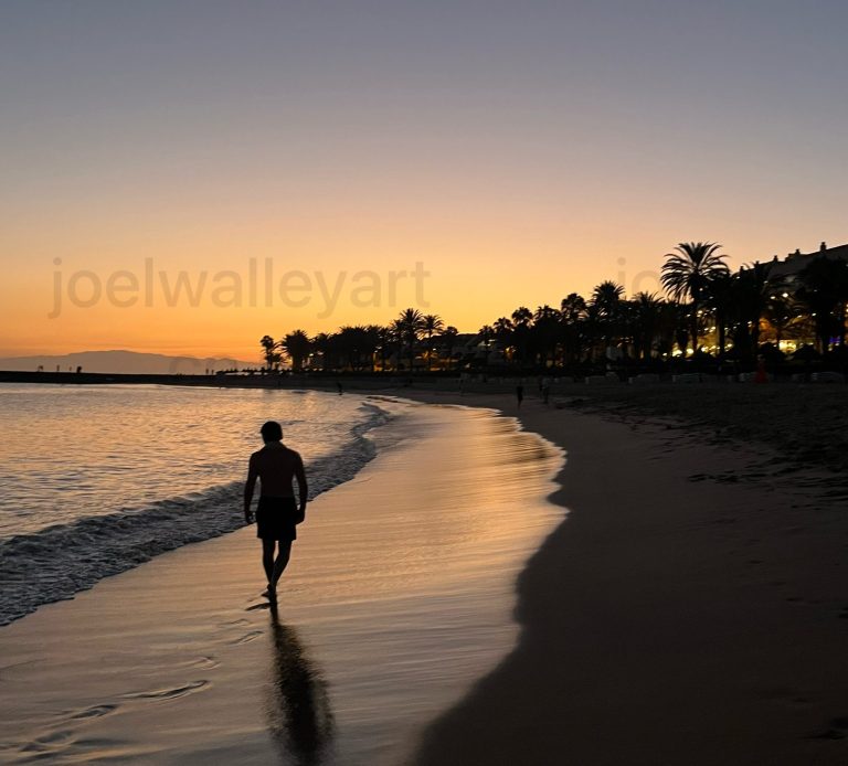 Sunset by the Sea Silhouette of me walking on a beach at sunset with palm trees in the background.