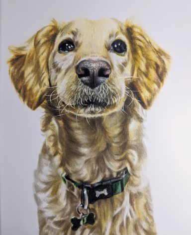 Mans Best Friend A realistic portrait of a golden retriever with a green collar, looking directly at the viewer.