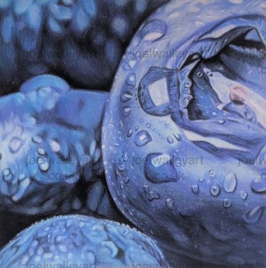 Waterdrop Blueberries Close-up of blue petals with droplets of water glistening on their surface.