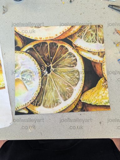 Citrus Fruits Dried citrus slices arranged on a textured surface.