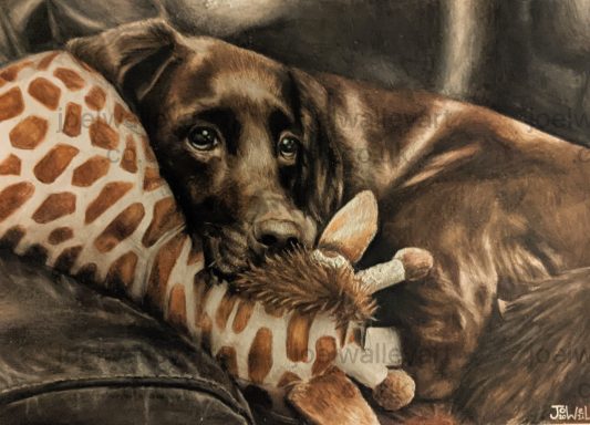 Chocolate Labrador A brown dog resting on a plush giraffe toy.