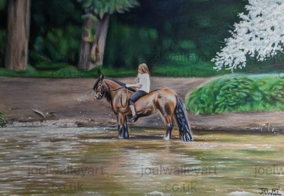 Horse standing in a slow running river. A young Lady riding her horse takes a stop in the river for a refreshing break.